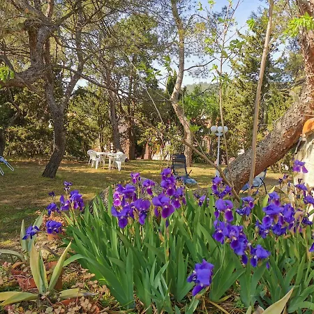 La Pinede Apartment *