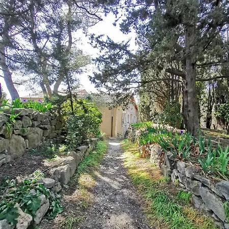 La Pinede Apartment