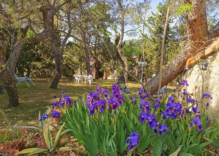 La Pinede Apartman *